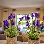 公寓 Gramacho Golf Bungalow Private Garden And Terrace Shared Pool