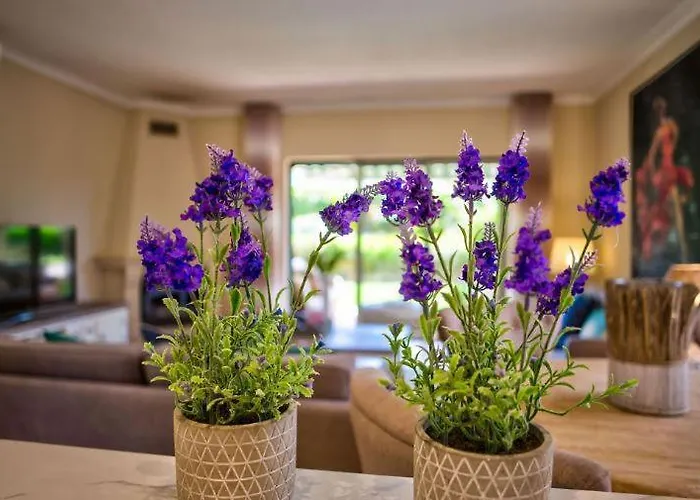 Appartement Gramacho Golf Bungalow Private Garden And Terrace Shared Pool